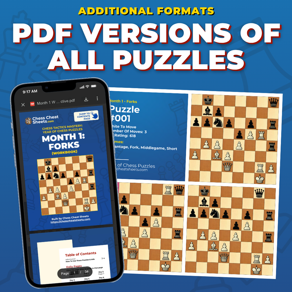 Daily PDFs For All 13 Months, With Solutions And A Notion Tracker