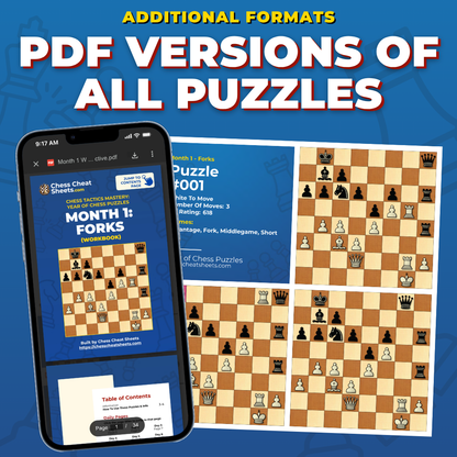 Chess Tactics Mastery: The 1-Year System For Guaranteed Chess Improvement - A Full Year Of Daily Chess Puzzles Grouped By Theme